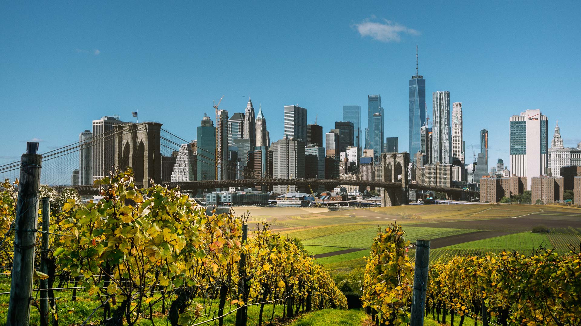 Long Island Wine Tasting Tours from NYC